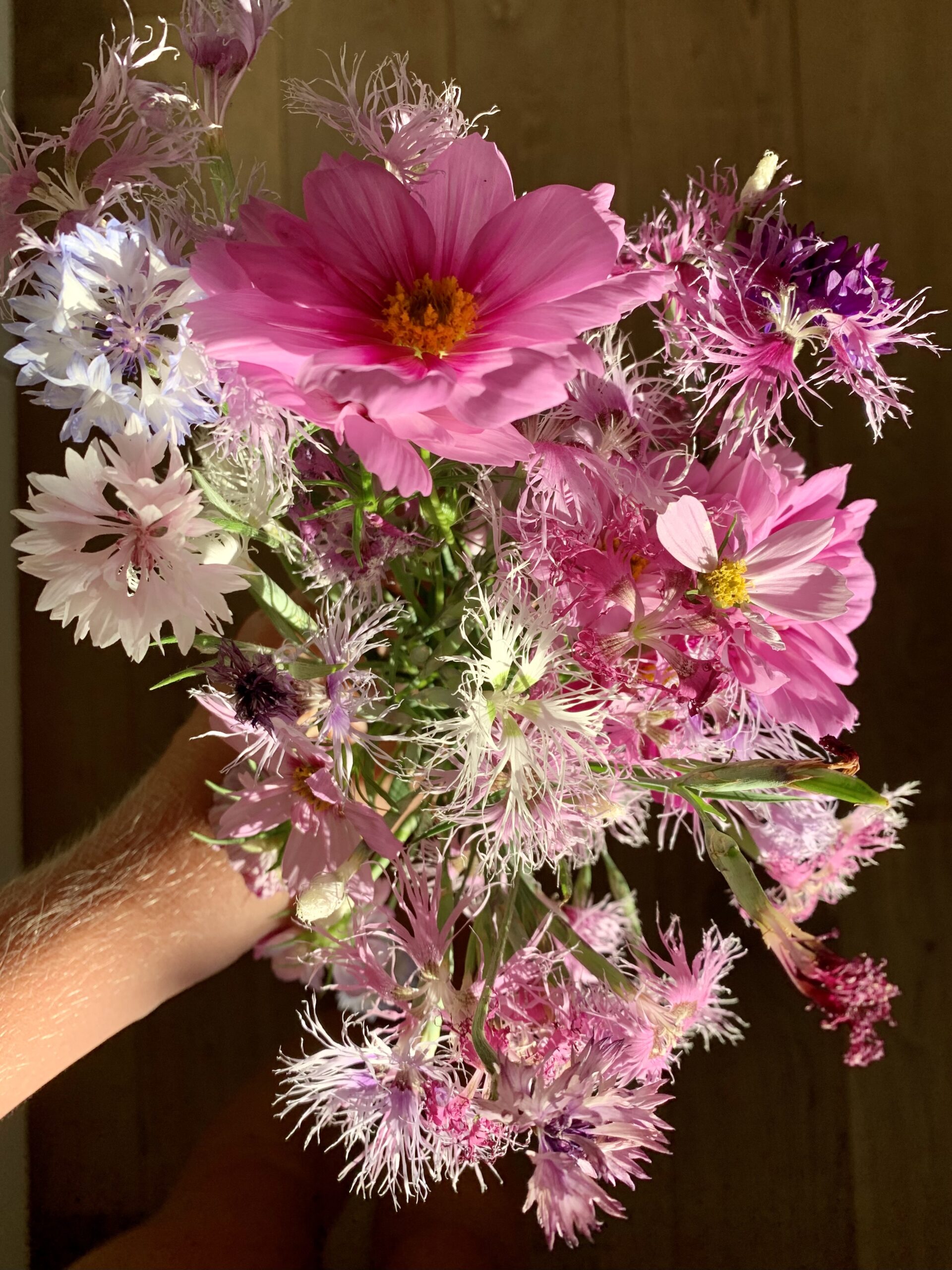 bouquet fleurs de saison Brabant wallon